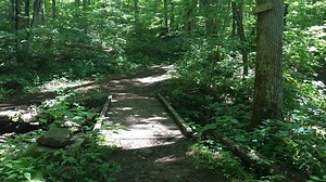 Pinnacle Park gets security cameras after trails spiked last winter