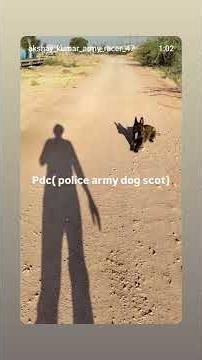#pdc training 🥰 (police dog center india)