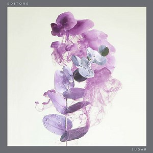 Exclusive: behind the scenes on Editors' 'Sugar' video