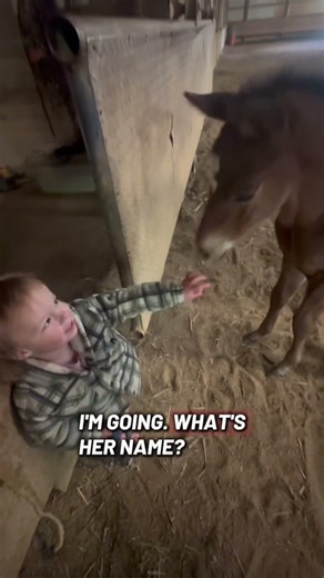 Pretty sure she found her little quarter horse. Even though she will be a big big girl. #filly