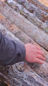 472K views · 6K reactions | Solo Bushcraft inside a deep forest. Practice some survival skills before SHTF. #bushcraft #bushcrafting #dugong #survivalskills | Alaska Prepper | Facebook