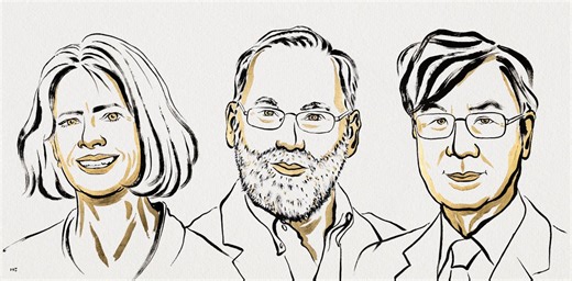 Nobel prize awarded for discovery of immune system’s ‘security guards’