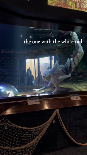 Meet Mermaid Jacy at Aquatarium 2022 | Tickets On Sale Now!