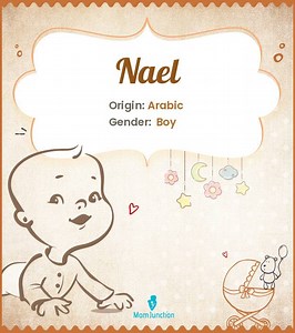Nael Name Meaning, Origin, History, And Popularity