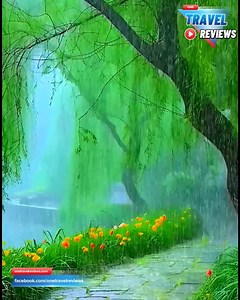 134K views · 10K reactions | Have a nice day - with amazing rain sounds 李 | One travel reviews | Facebook