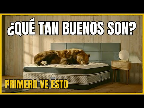 ¿Los colchones Spring Air son buenos? 🛏 Opiniones 2025