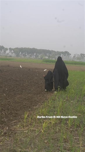 Borka Fashion Inspiration from MS Maya Outfits