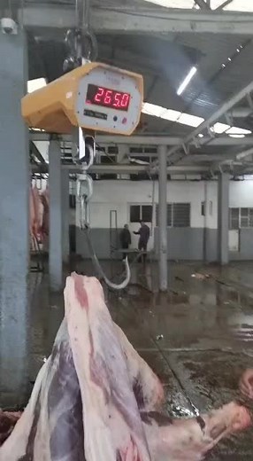 MaNuel Reyes on TikTok