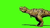 dinosaur green screen, raptor green screen, trex green screen, animal...