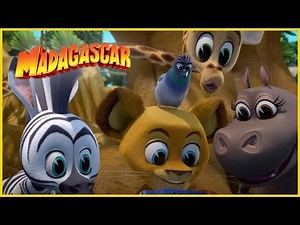 DreamWorks Madagascar en Español Latino | Ayuda a Gloria con el juego! | Madagascar: Algo Salvaje