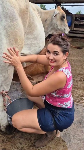 Beautiful Cow Milking on Farm | Natural Village Life with Calf Drinking Milk 🐄🥛 #villagelife