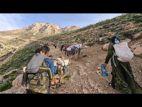 Incredible Iranian Nomadic Migration: Journeying to the Mountain Summit in 2023 (PART 2)