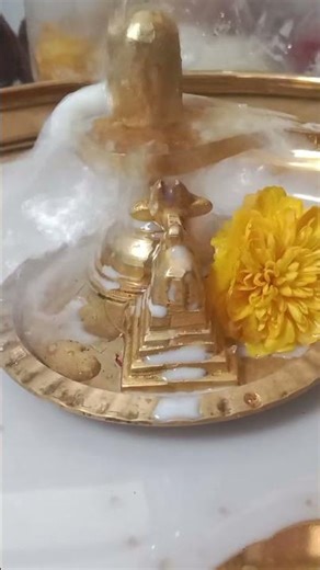 సర్వం శివోహం #శివ #ytshort #ytviral #explore #chagantikoteswararao