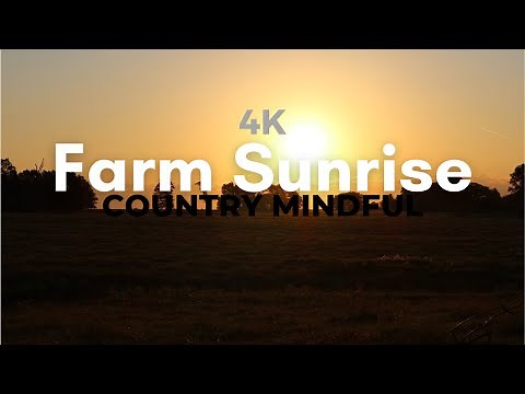 Morning Sunrise with Birds Chirping - 4K Nature Sounds not a Loop! Farm Sunrise with Birds Singing