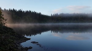 113 reactions | A calm and misty Loch Achray yesterday morning. | Scotland Spotlight | Facebook