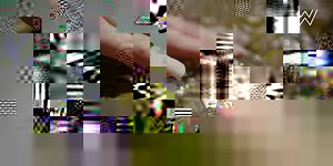 17K views · 161 reactions | Nood aan qualitytime, rust en...