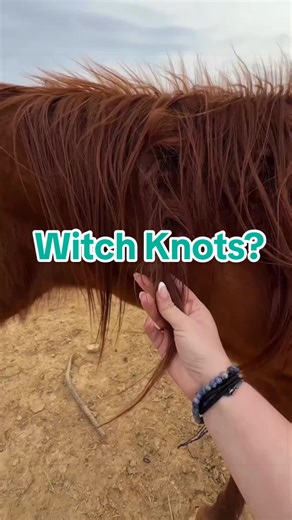 Descubriendo los Nudos de Bruja en Caballos