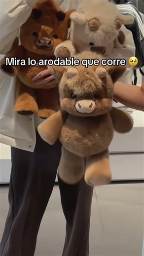 Mira lo tierno y hermoso que es 🤍🥹#peluches #tierno #adorable #mujeres #regalo