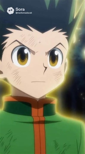 Hunter x Hunter | Gon (The Innocent Beast) Vs Kilua (Thunder Assassin) Fan Animation