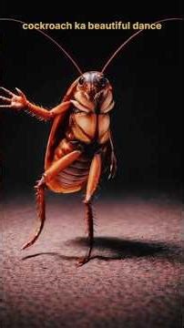 cockroach dance#sortfeed #short