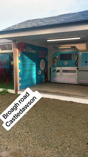 DIY dog wash station!.on the way back From a walk stopped off here to give Molly a wee freshin up… #sausagedog #northernireland #dogwashtime