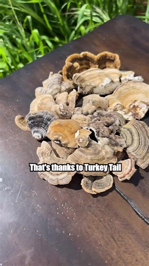 132K views · 255 reactions | RYZE's Ritual Set elevates coffee into a...