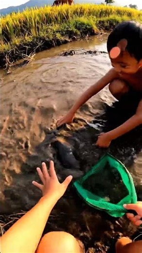 #bigfish #funny #usalife #cute #america #comedy #fihsing #nauture #america #shorts