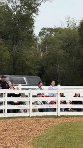 Henry 😍 I’ve actually never gotten to watch him without a camera up to my eye till today | SCB Photography