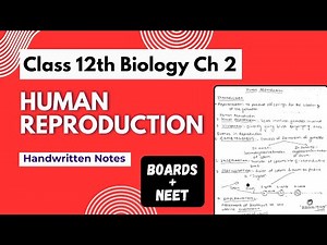 Human Reproduction - Notes PDF || Class 12th Biology Chapter 2 Handwritten Notes