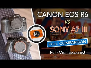 Canon EOS R6 vs Sony A7 III Full Comparison, Part 2: All About Video