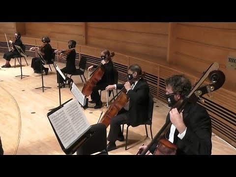 Vaughan Williams: Fantasia on a Theme by Thomas Tallis