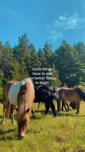 Change Your Perspective for a Positive Mindset