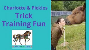 41 reactions | Fun, what training should be. Every week we spotlight a Horse Tricks Club member and their inspiring training. This week it is Charlotte and Pickles. They have something that most of us aspire to - a solid relationship where they joyfully communicate and learn. #horsetricks101 #Horsetricks #horsetrickstraining #rewardbasedtraining | Horse Tricks 101 | Facebook