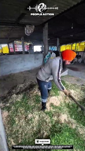 Farm People Turning Fodder Inside Barn Work