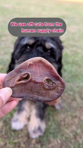 We are all about nourishing your pets, as well as being sustainable so nothing ends up in landfill! ♻️ We manufacture all of our dog treats in a Prime safe and HACCP licensed facility in regional Victoria in small batches, so you know you are getting quality dog treats direct from the manufacturer! We have a nose to tail ethos, so no part of the animal is wasted, make the switch and join the heathy dog treat revolution! #dogsoftiktok #dogtreats