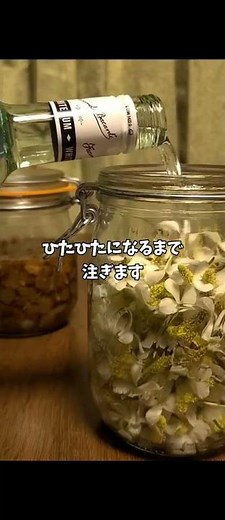 ドクダミチンキの作り方