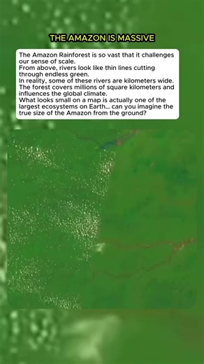 This Aerial View Shows How Massive the Amazon Really Is #curiosity #mistery