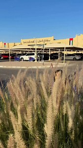 اقوى logos game ببوادي مول بالعين #uae #العين #bawadimall | Cham3oun