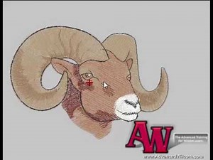 Fill effects Wilcom ES65