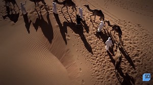 32K views · 256 reactions | You've heard of a sand storm, but have you ever heard of a sand flood? Watch new episodes of #StrangeEvidence Thursdays at 9p ET on Science Channel and on SCIgo. | Science Channel | Facebook