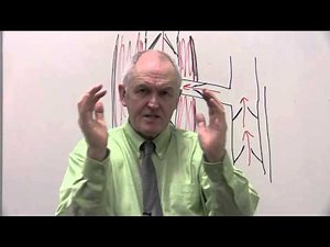 Mechanisms of venous return, respiratory mechanisms