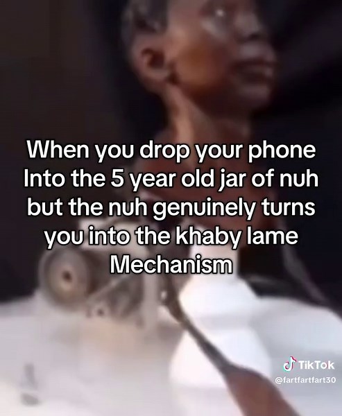 Understanding the Journey of Bees in Animation