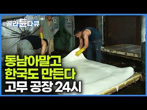 국제시장에서 좋은 평가받는 한국의 천연 고무 라텍스 공장｜극한직업｜#골라듄다큐
