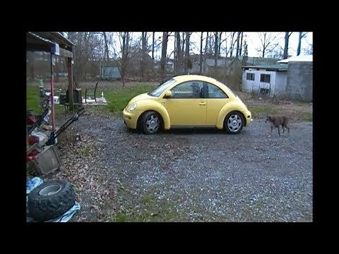 PawPaw Repairs the Dropped Window Problem in the 2000 VW Beetle