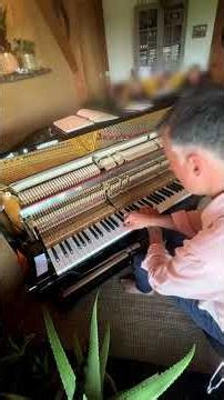 162ème Home Piano Live 🎹 “Loup Solitaire” en concert chez l’habitant