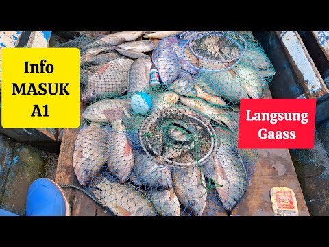 This is just Jos Jis