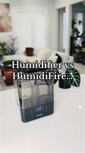 Enhance Your Home Humidity for Thriving Plants