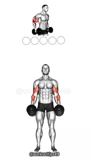 Want BIGGER Biceps Try This Routine! 🏋️‍♂️✨ #armworkout #workoutroutine #workoutroutine #bicepsworkout #tiktokgrowthchallenge