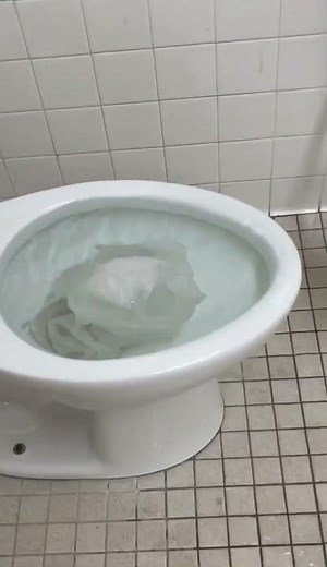 Kid overflows School Toilet