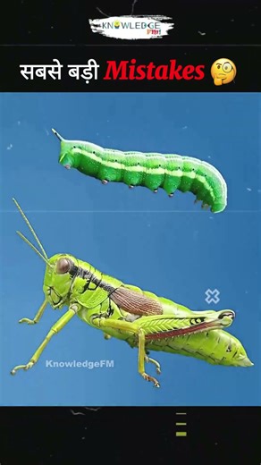 Top 10 Most Expensive Mistakes in History | Mind-Blowing Facts😱 #facts #interestingfacts